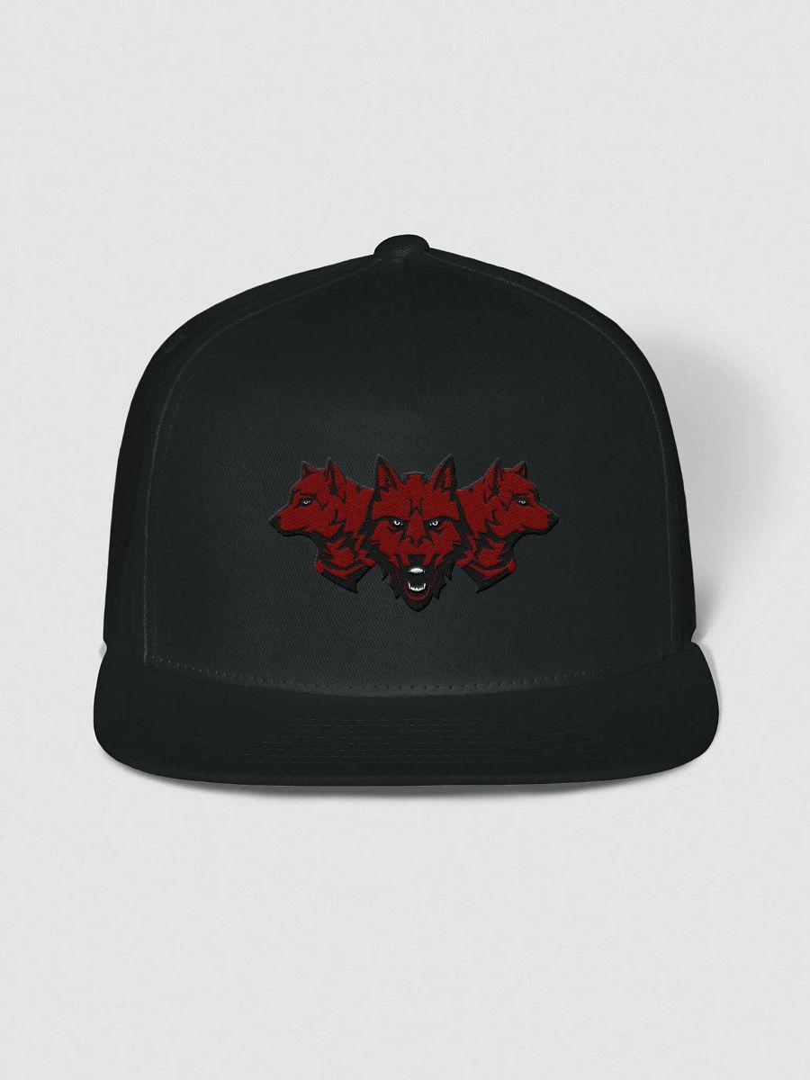 Cerberus Logo Hat product image (1)