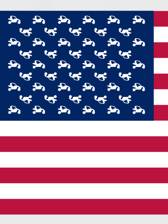 United SXS of America — Flag Sticker product image (2)