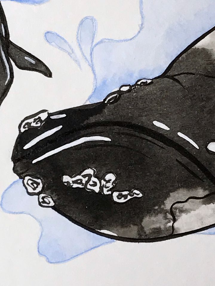 original painting : whales product image (2)