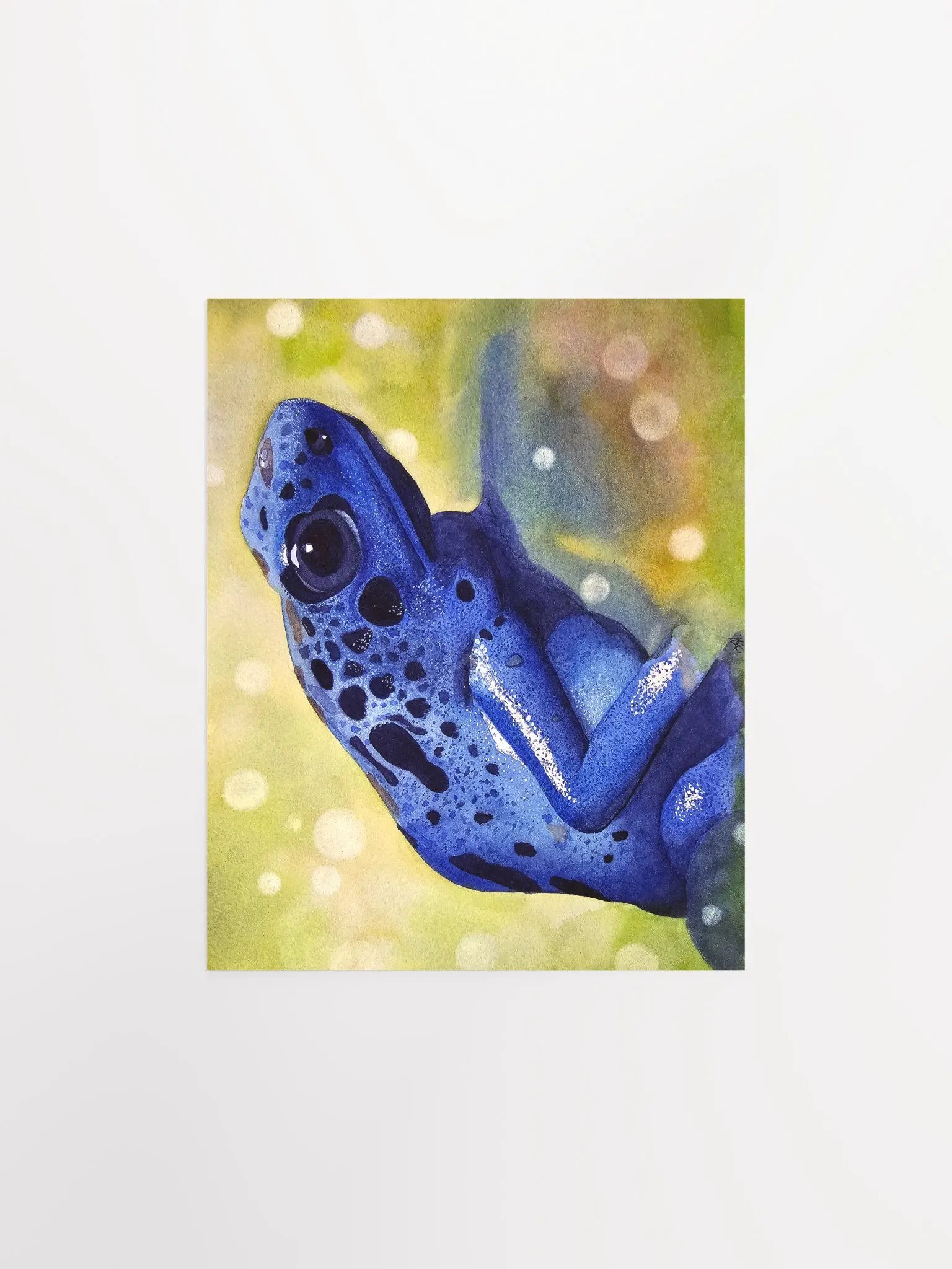 Randolf - Poison dart frog - print product image (1)