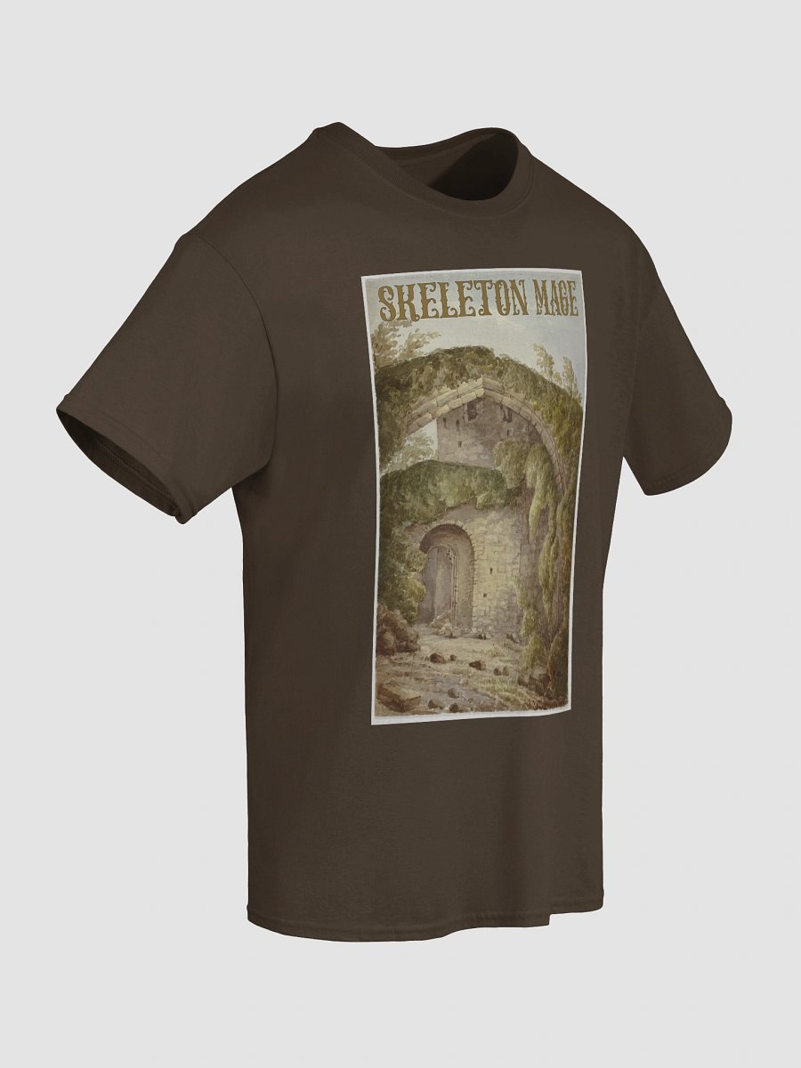 Of Mossy Ruins and Forest Paths T-shirt product image (31)