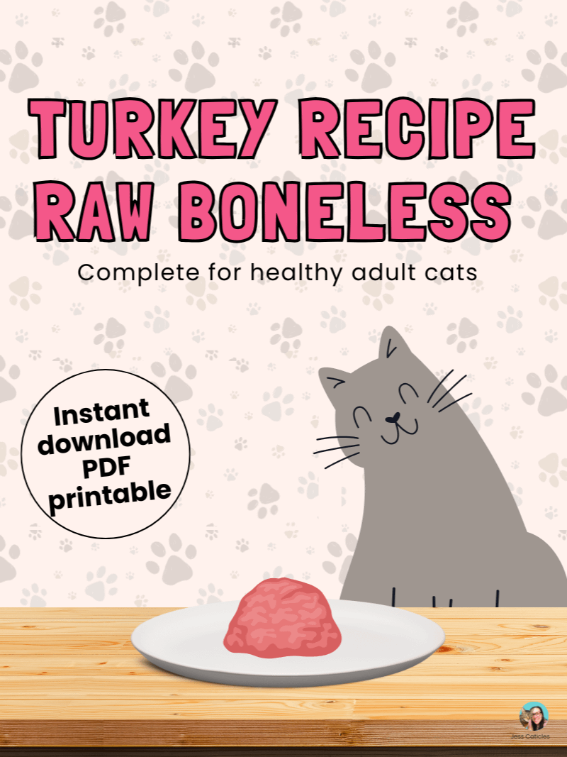 Turkey raw boneless cat food recipe ~ 1 recipe for adult cats product image (1)