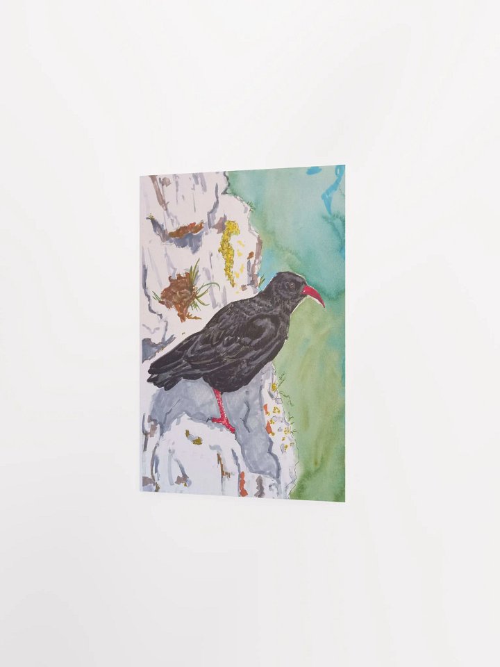 Corvid Series [04] Chough poster print product image (2)