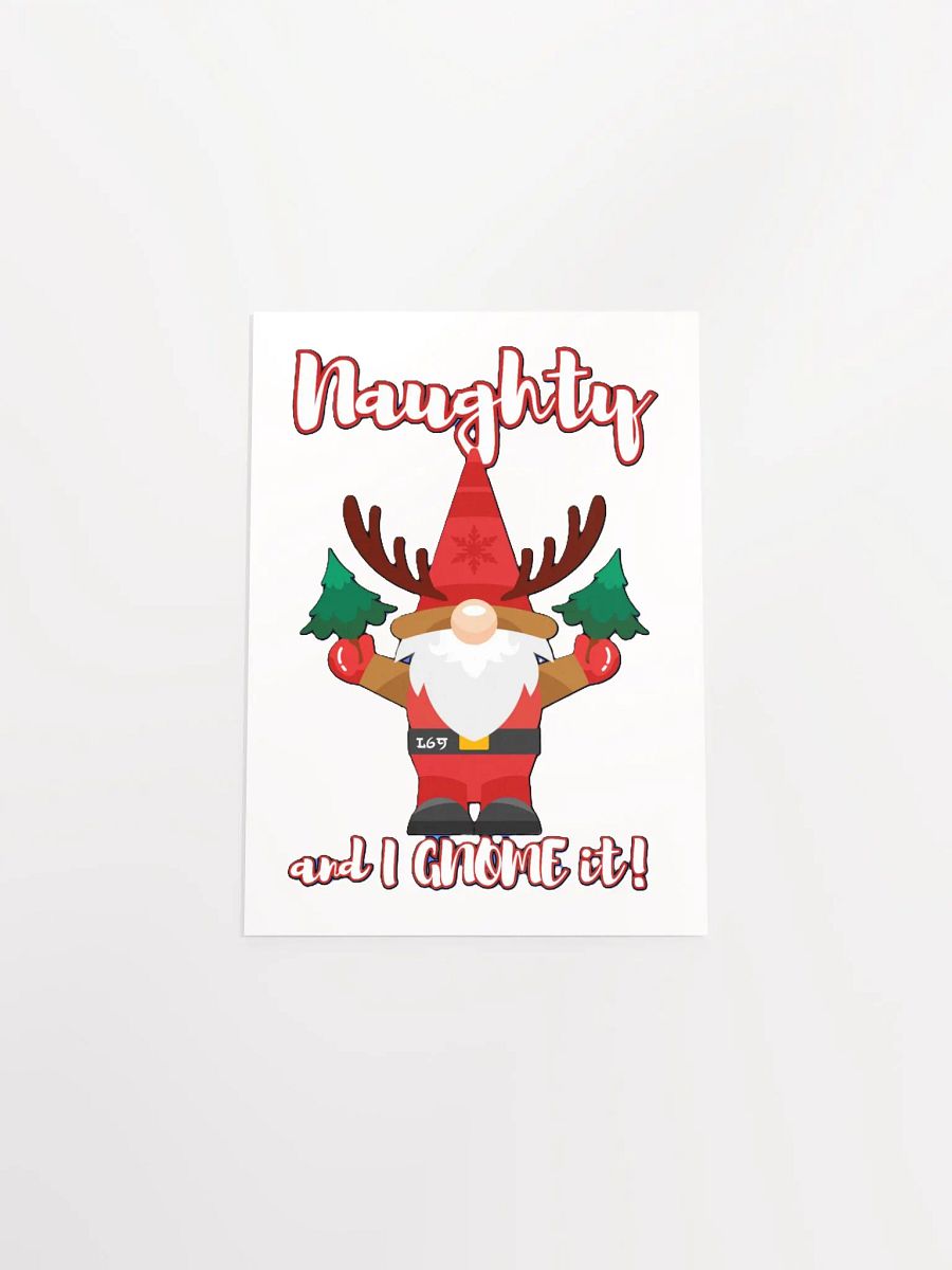 NAUGHTY AND I GNOME IT product image (21)
