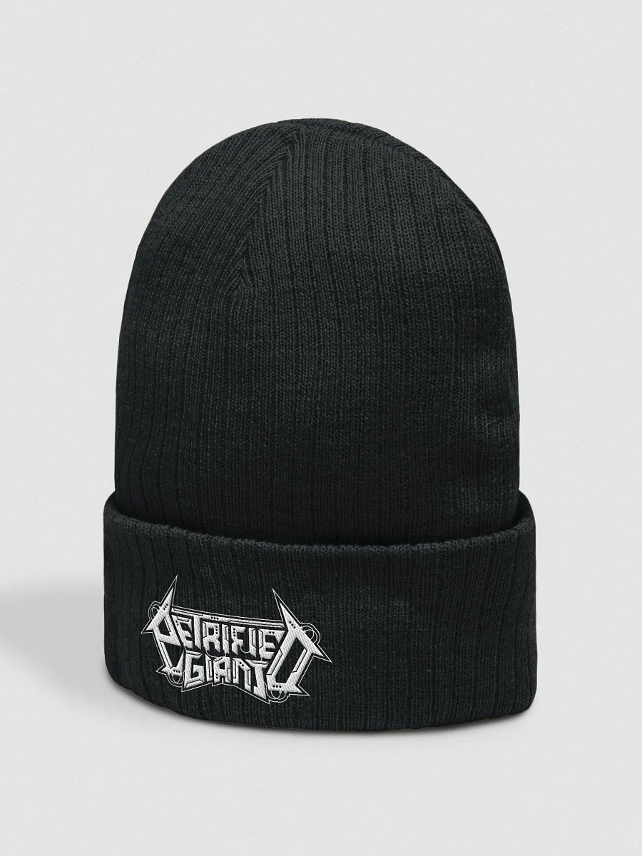 Petrified Giant Beanie product image (2)