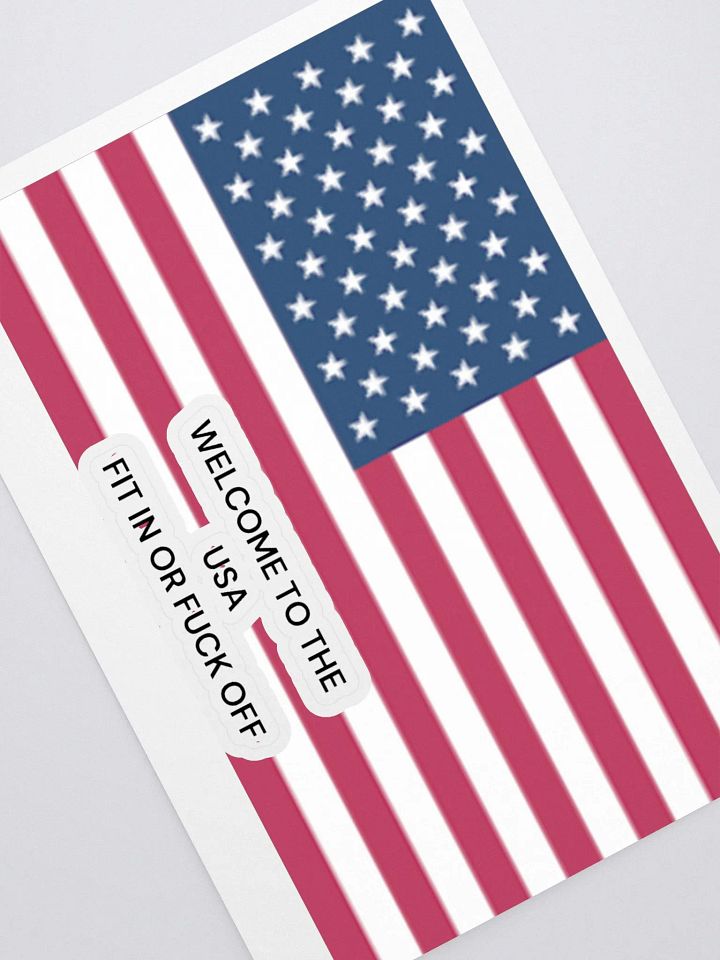 Stars & Stripes FIT IN OR F*CK OFF STICKERS product image (1)