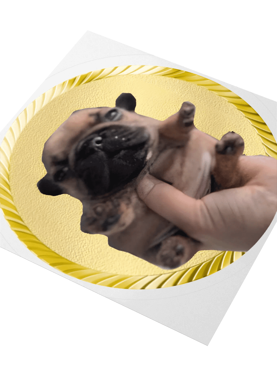 the dog STICKERS! product image (10)