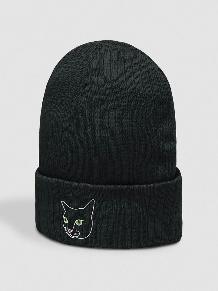 Ripley Beanie product image (2)