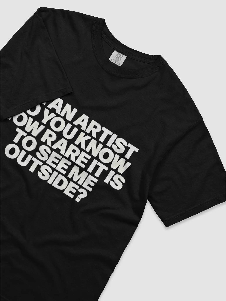 I’M AN ARTIST. DO YOU KNOW HOW RARE IT IS TO SEE ME OUTSIDE? T-SHIRT product image (3)