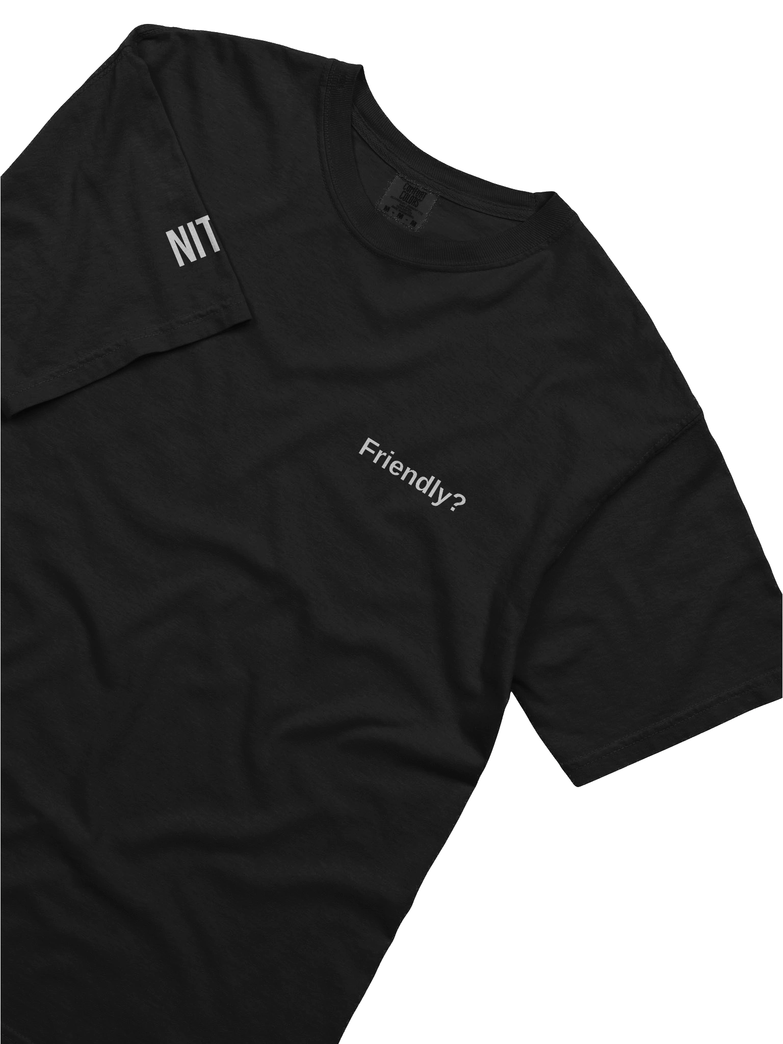 Friendly? T-Shirt product image (5)