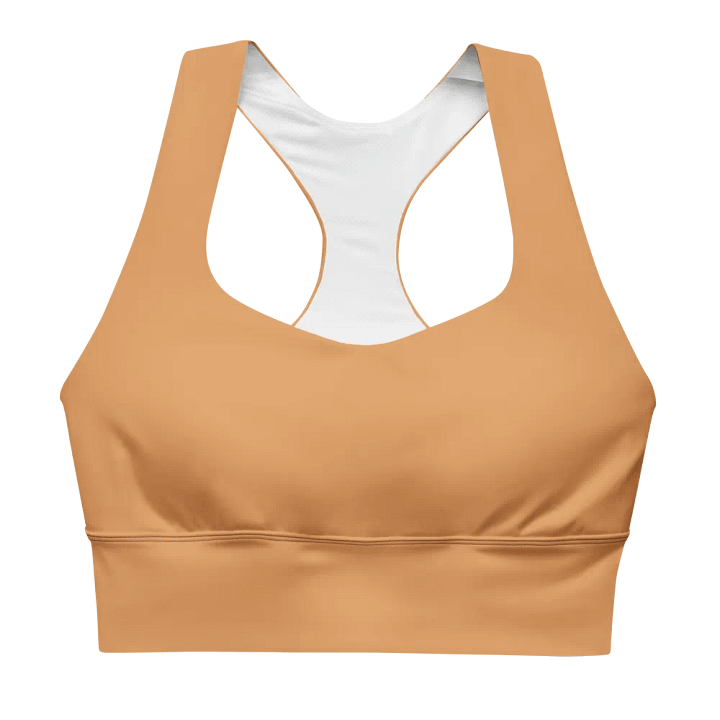 Capricorn Hues Recycled Longline Sports Bra product image (1)