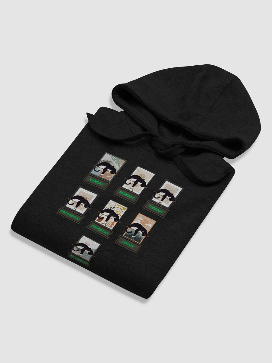 Cats Days of The Week Hoodie product image (40)