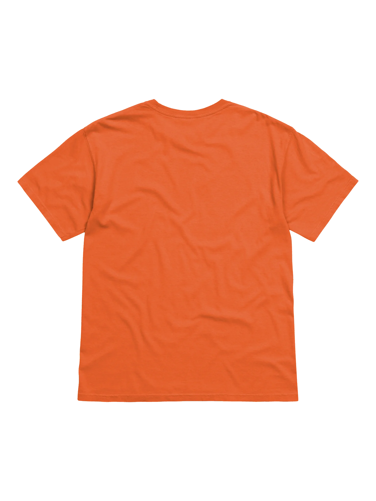 I Like Big Bucks Tee product image (2)