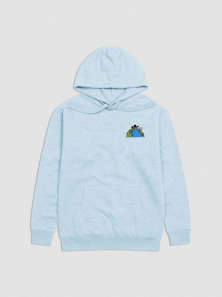 irushtheworld Embroidered Hoodie product image (5)