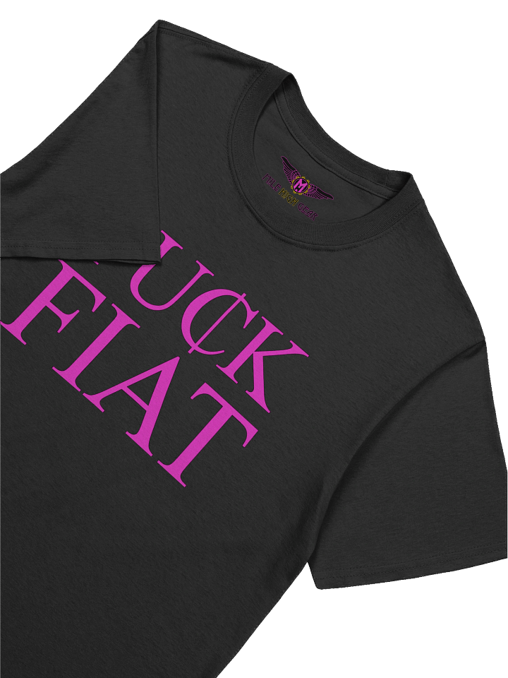 FU₵K FIAT Softstyle T-Shirt product image (2)