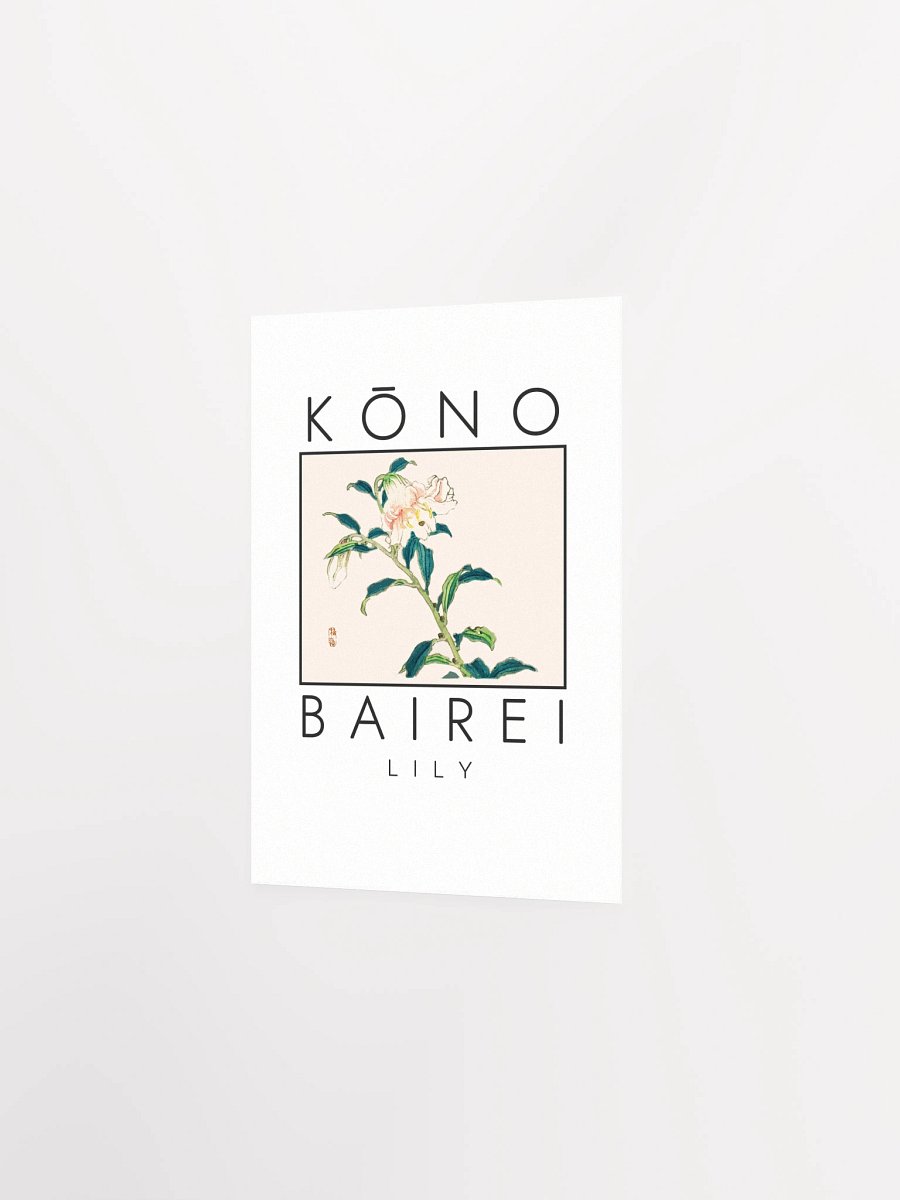 Kono Bairei Lily Poster product image (3)