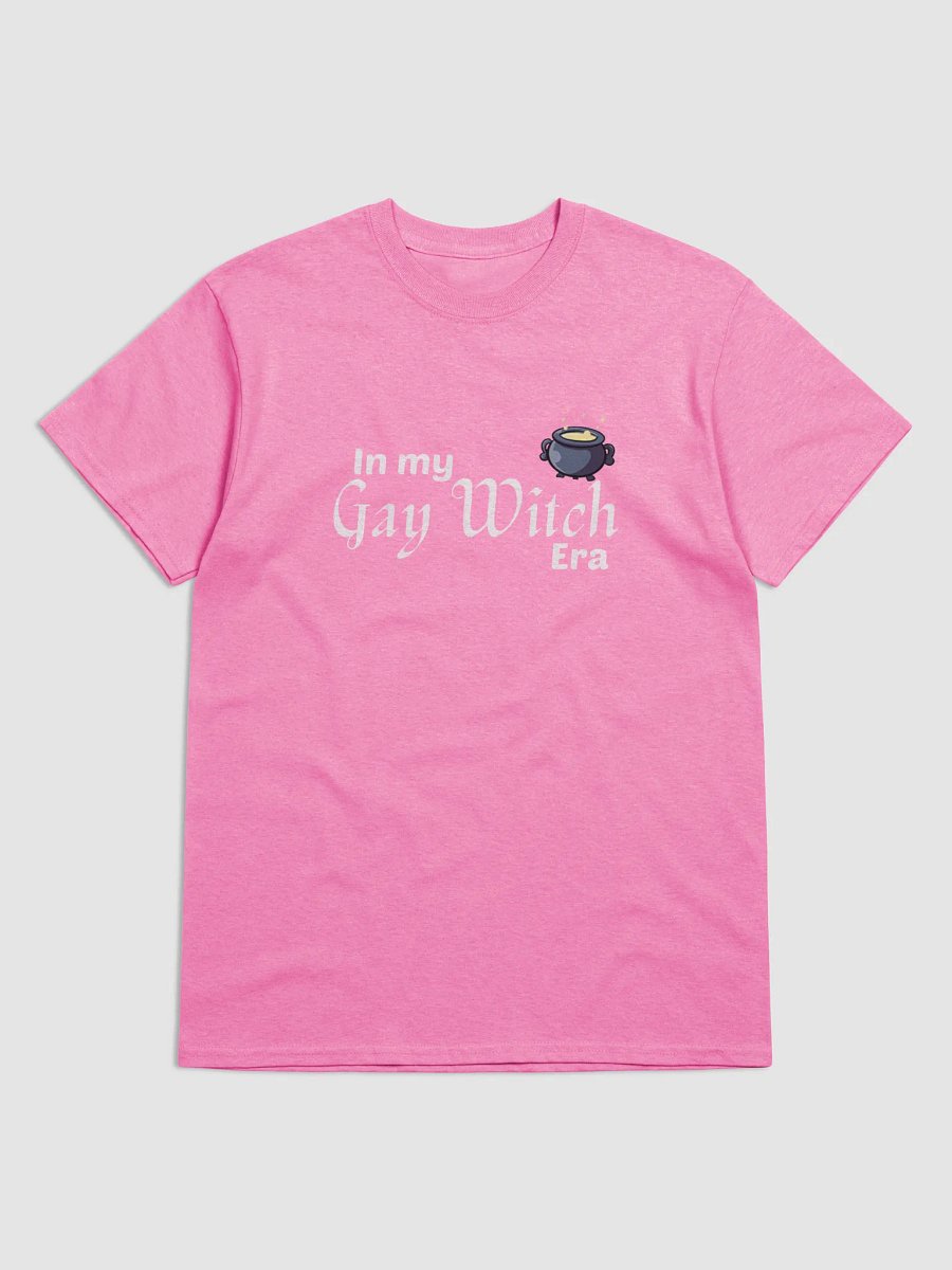 Gay Witch Era product image (1)