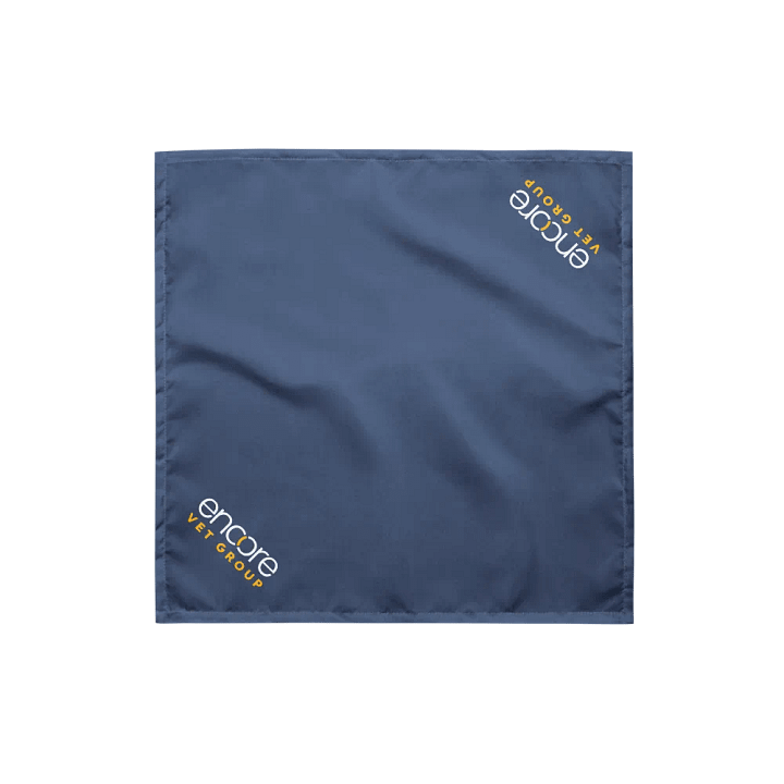 Abby's Bandana product image (2)