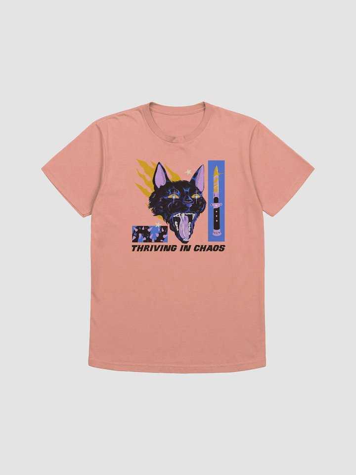 Thriving In Chaos product image (2)