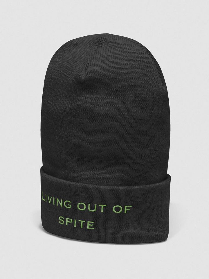 Living out of Spite product image (2)