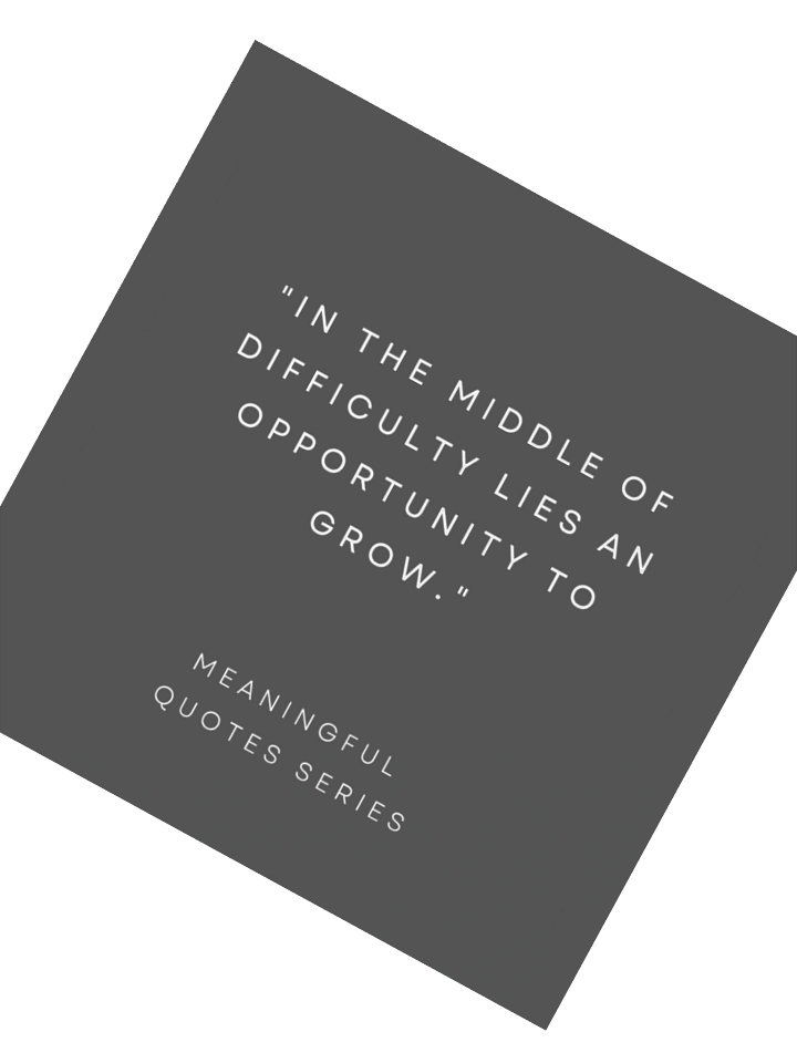 Lies An Growth & Opportunity product image (2)