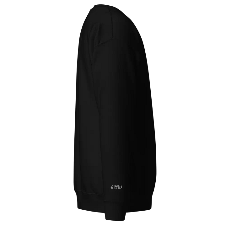 Cdog Spins Sweatshirt Embroided Black product image (2)