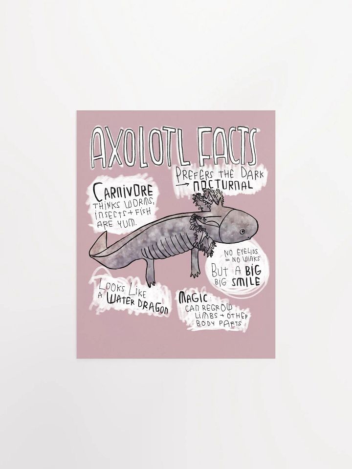 Axolotl Fun Facts, Wildlife Trivia, Axolotl Poster product image (1)