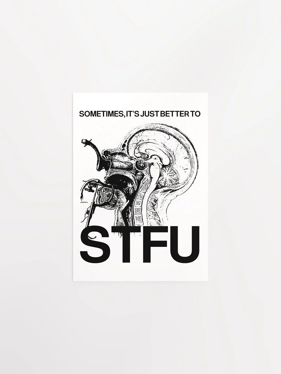 STFU - Poster product image (4)
