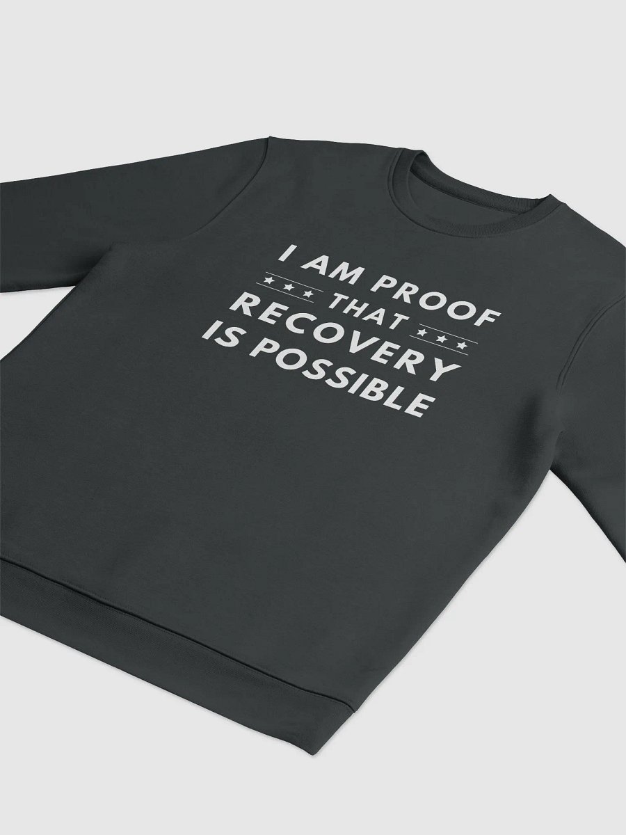 I Am Proof That Recovery Is Possible Sweater product image (9)