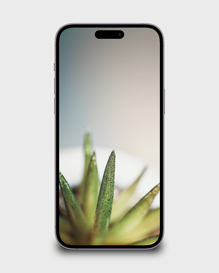 Up Close 8K Wallpaper Pack product image (1)