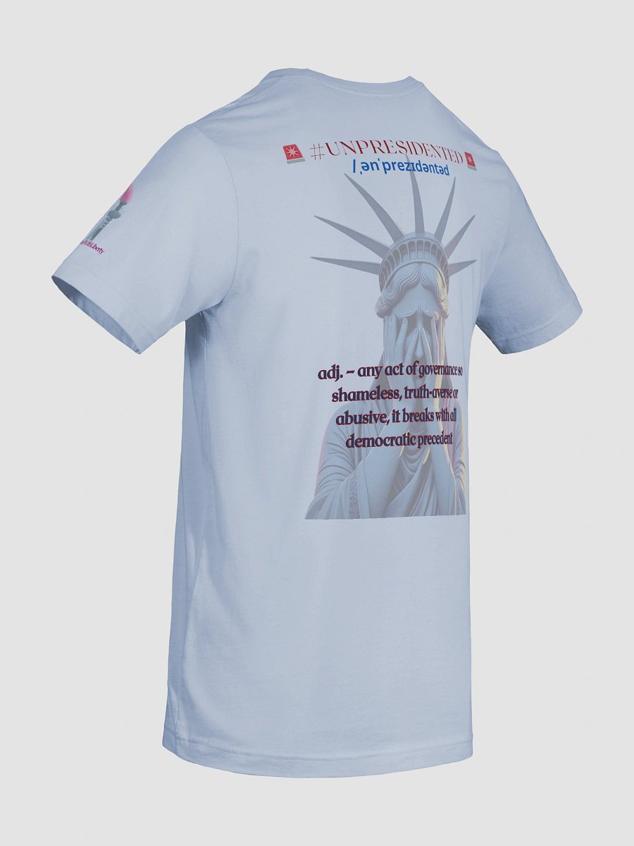 Stand With Liberty Barbed Wire American Flag Bella & Canvas 3001 Supersoft Tee product image (10)