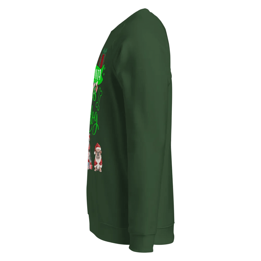 Raglan Festive Sweatshirt Santa Paws product image (3)