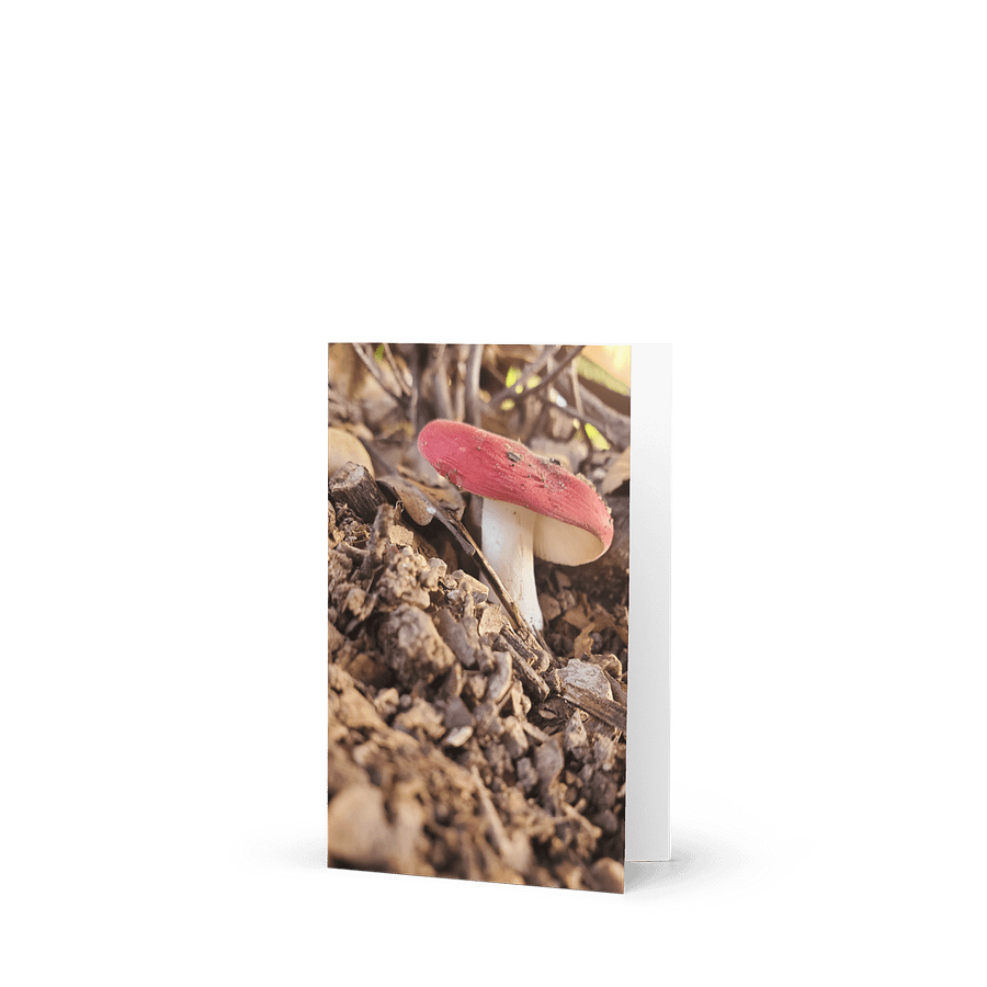 A Red Mushroom Greeting Card product image (1)