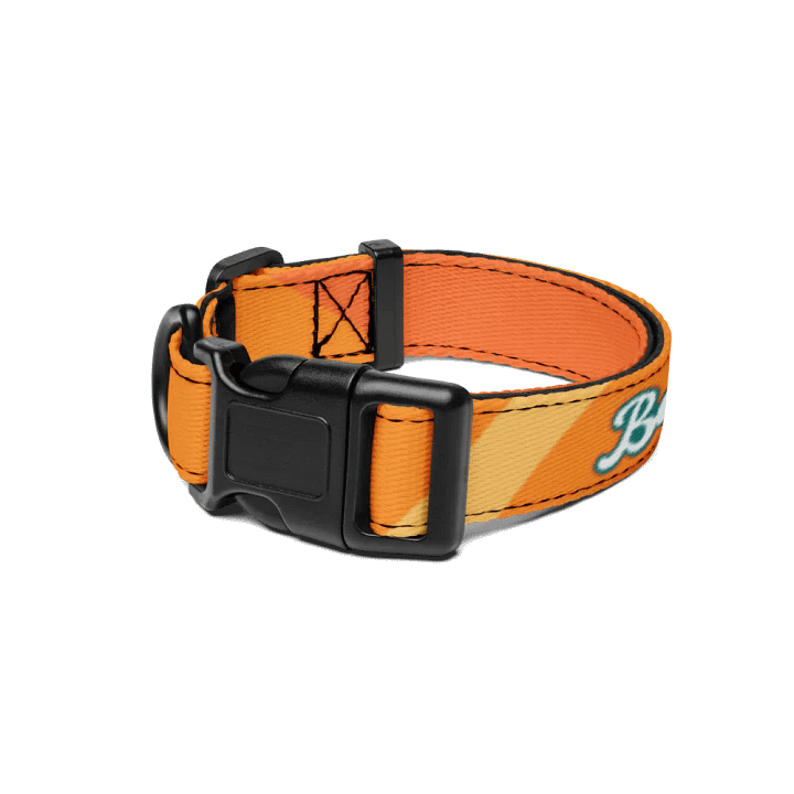 Besties Pet Collar product image (1)