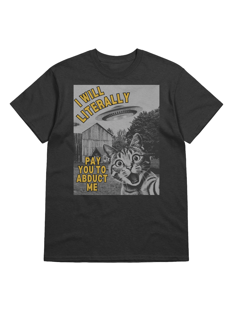 I Will Literally Pay You To Abduct Me T-Shirt product image (1)