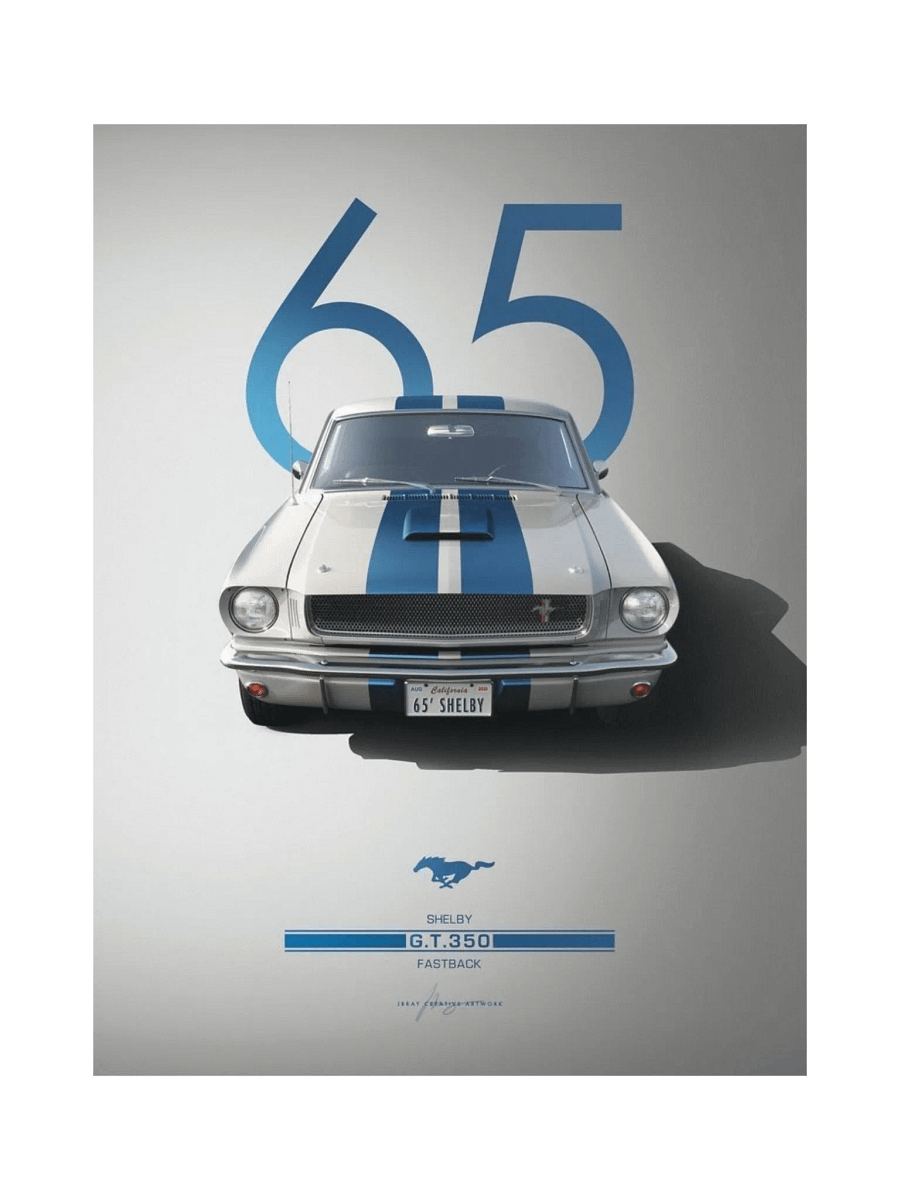 GT 350 product image (1)