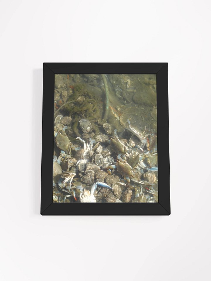 Murky Marine Life Framed Poster product image (9)