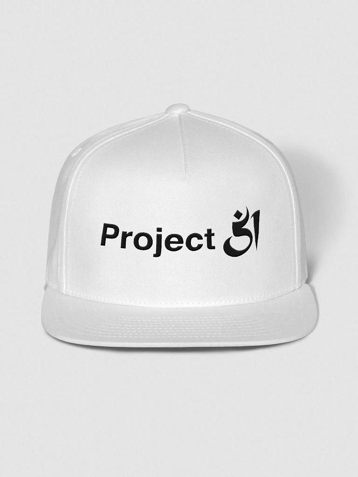 Project 51 snapback product image (1)