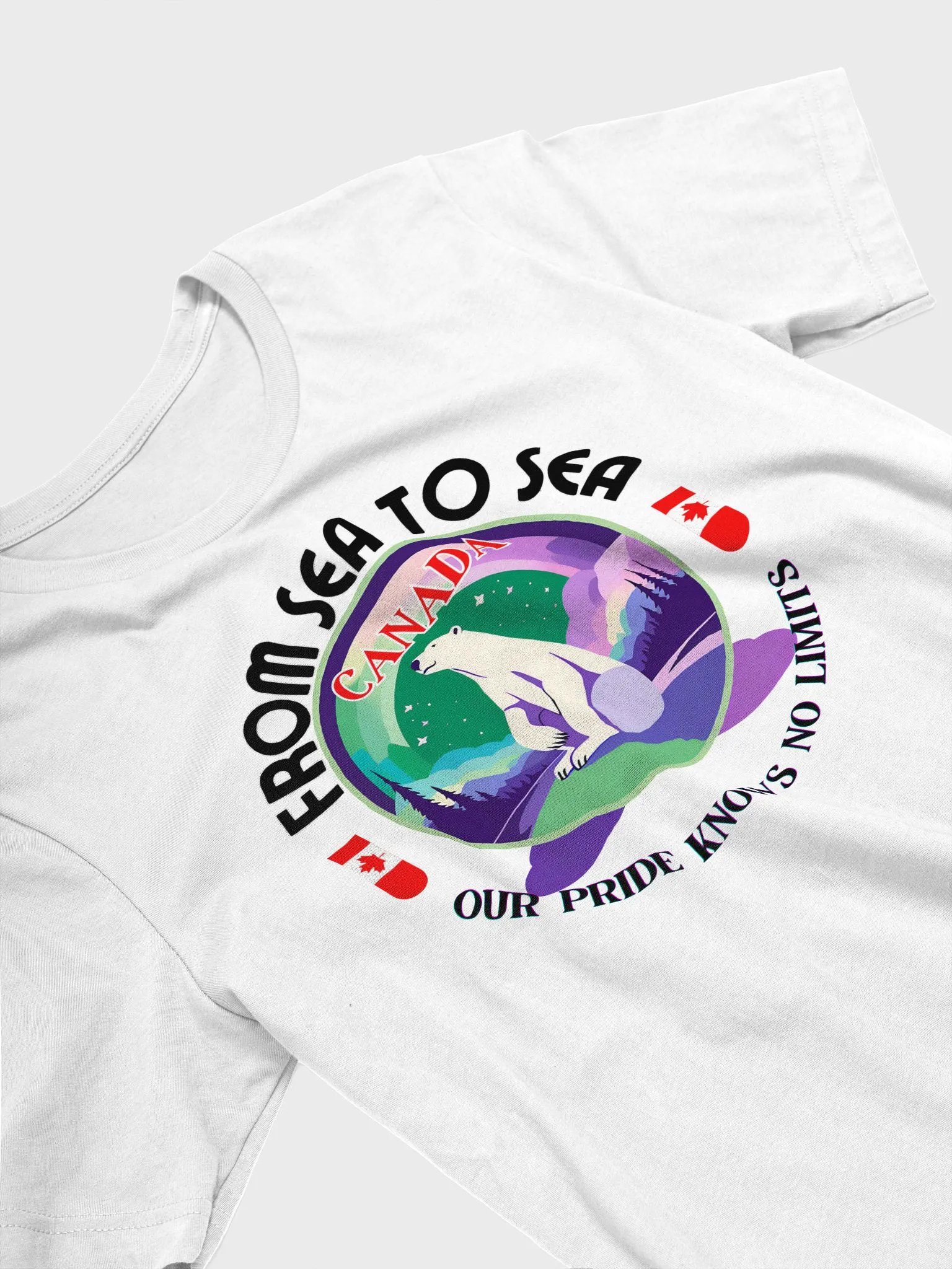 Northern Lights Pride T-Shirt product image (18)