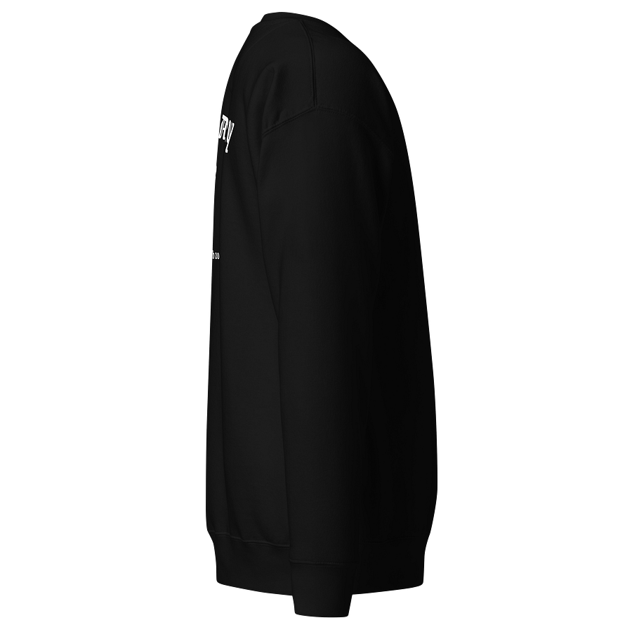 LSV Training Club Pullover product image (3)