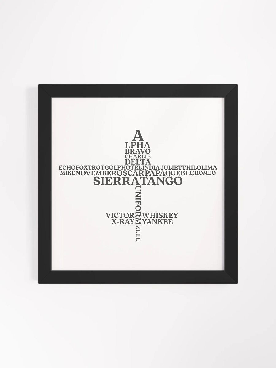 The Aviation Alphabet Airplane Framed Poster product image (1)