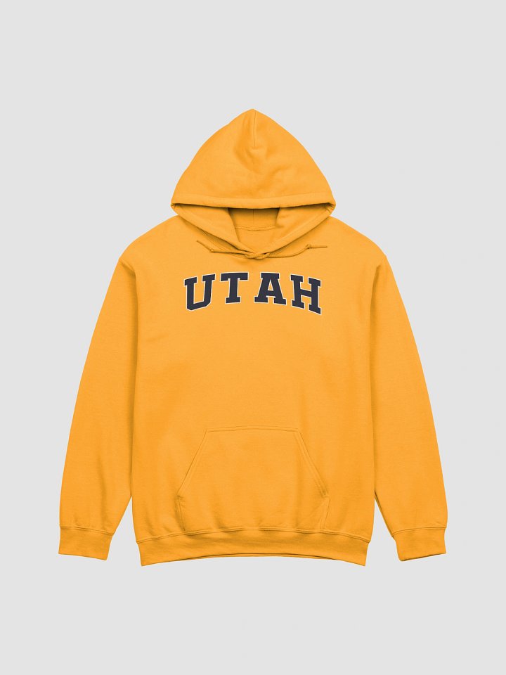 Utah Vintage Stylish Classic Hoodie product image (1)