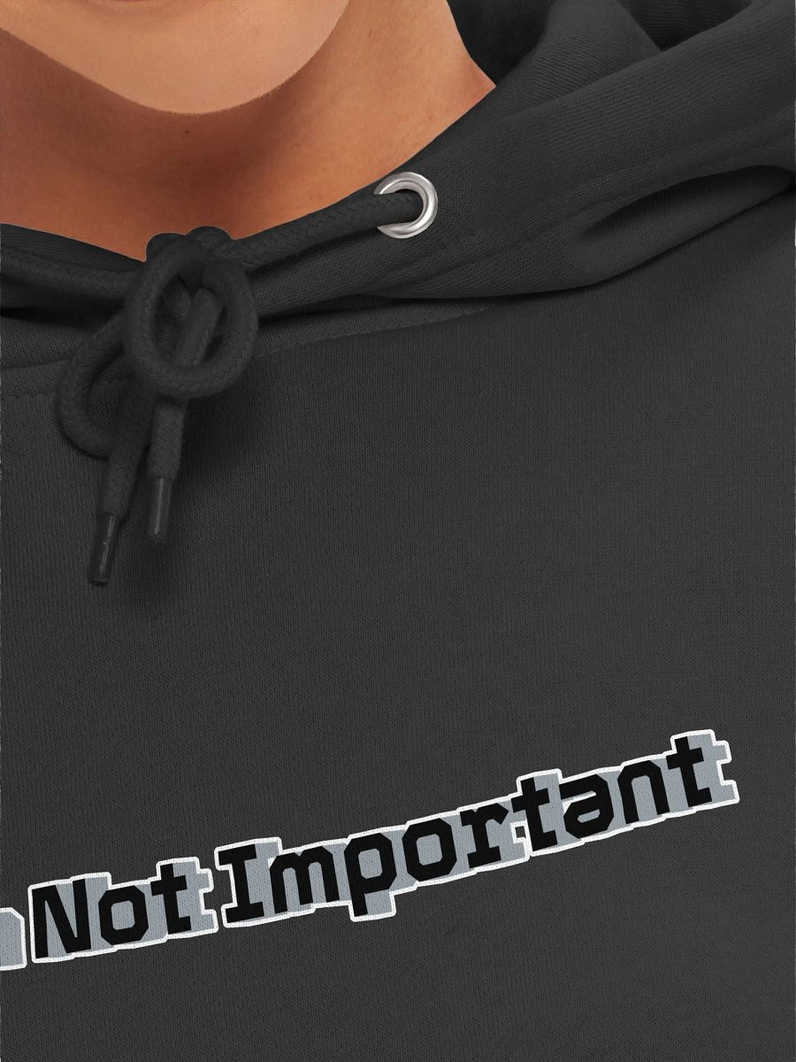 Premium Pullover Hoodie - Mr I'm Not Important product image (7)