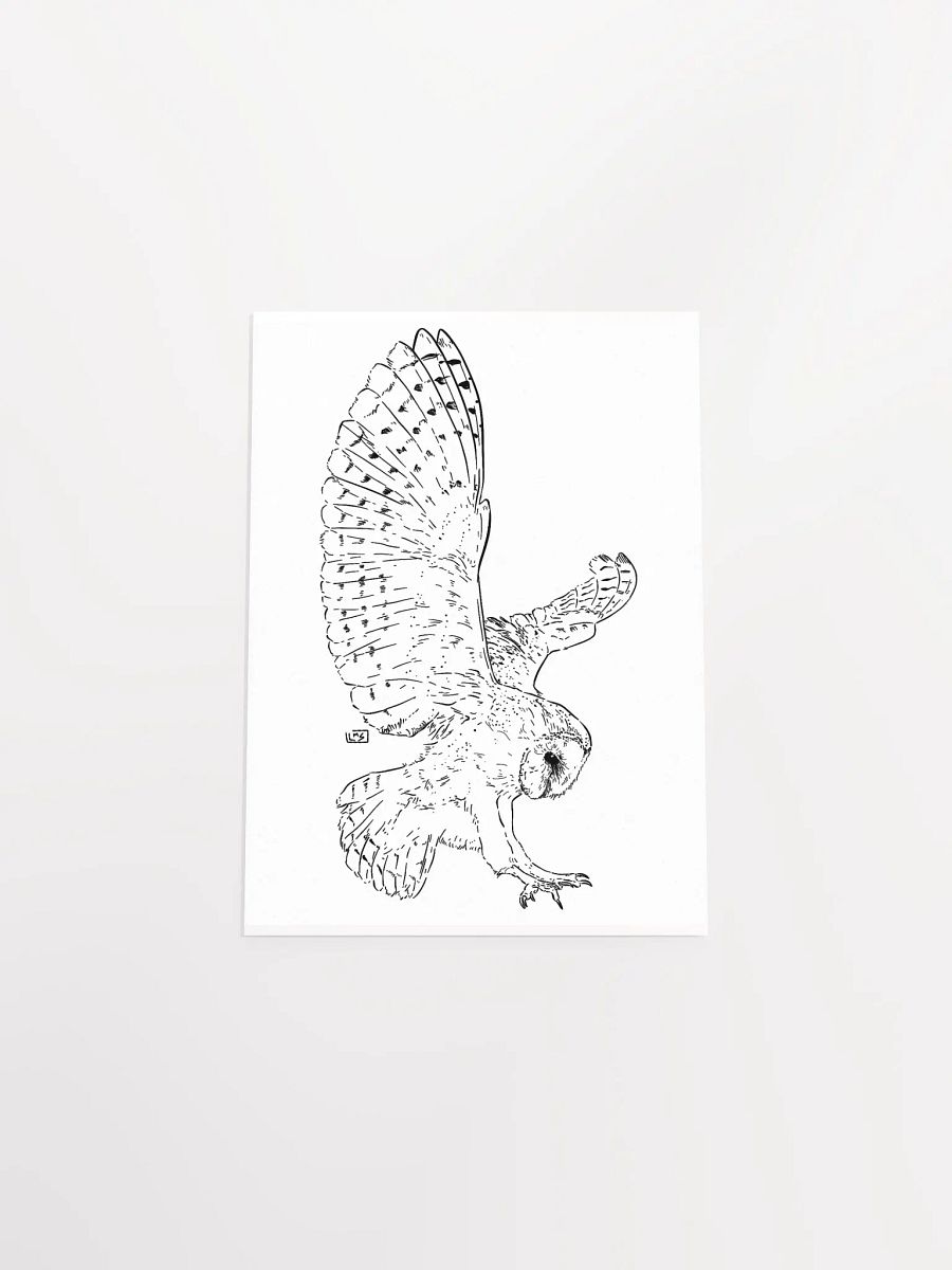 Take Flight - Poster Print product image (4)