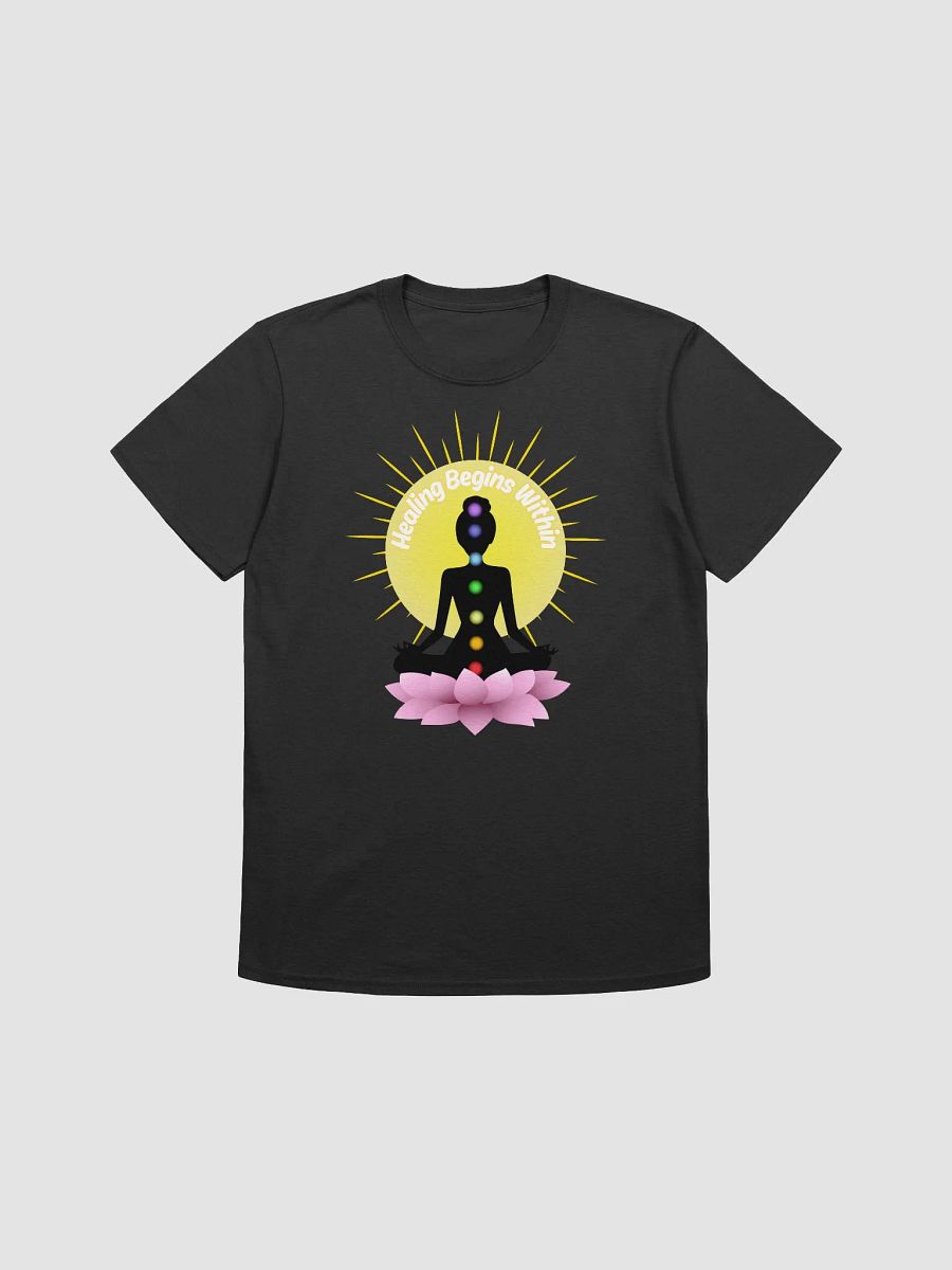 Healing Begins Within Unisex Softstyle T-Shirt product image (1)