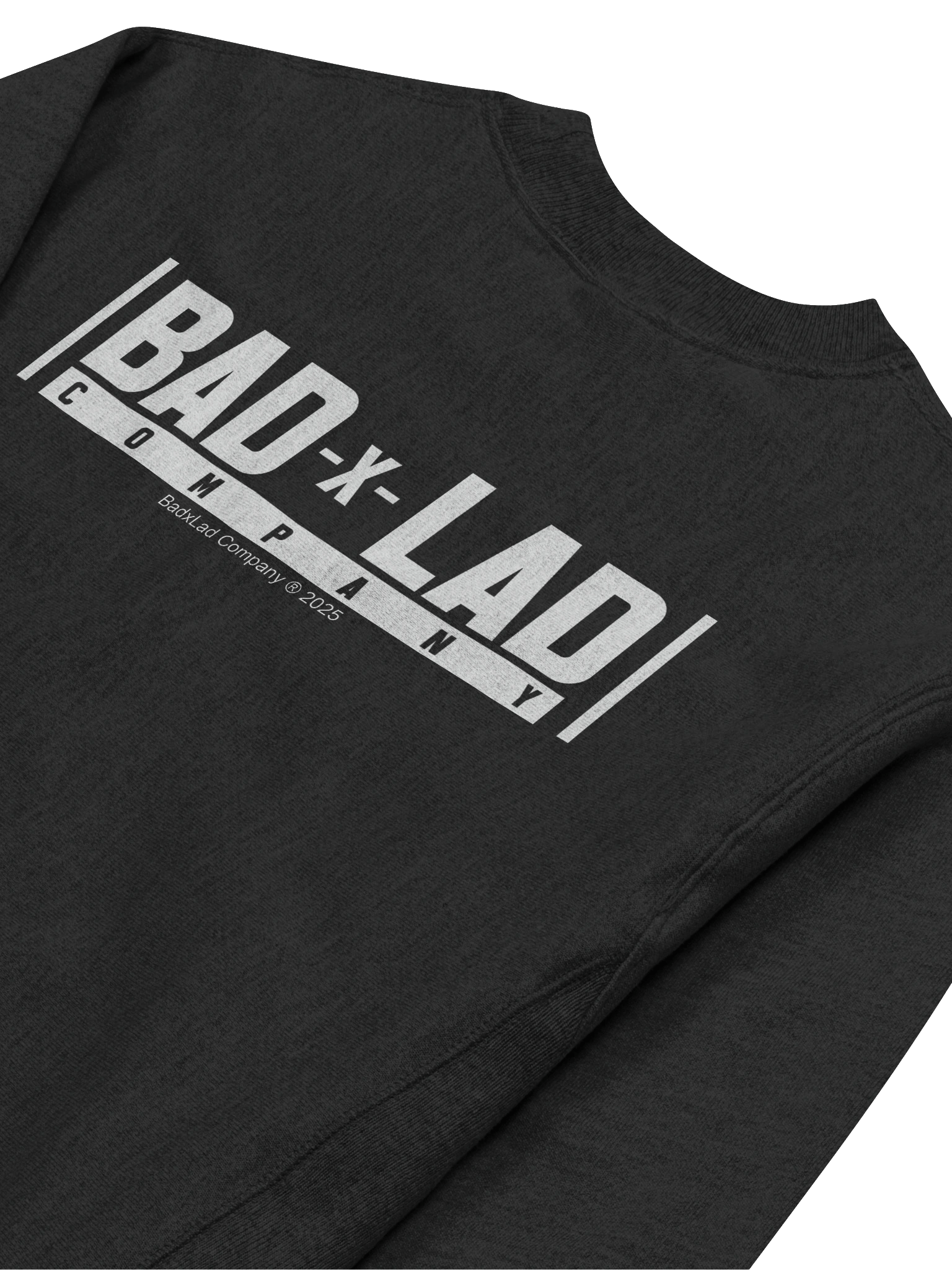 BadxLad x Champion - Shark Flow Cotton Max Sweatshirt product image (4)