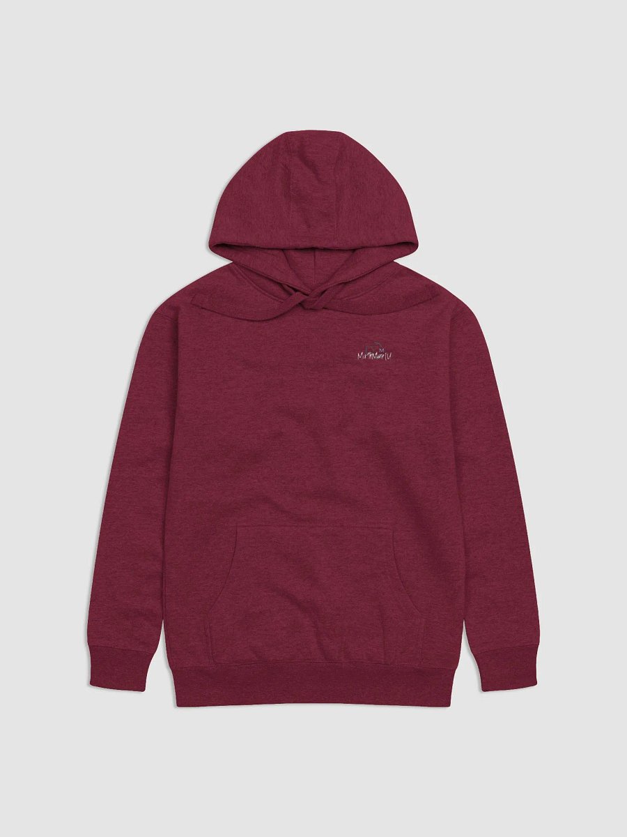 Streetwise Hoodie - Colourful product image (2)