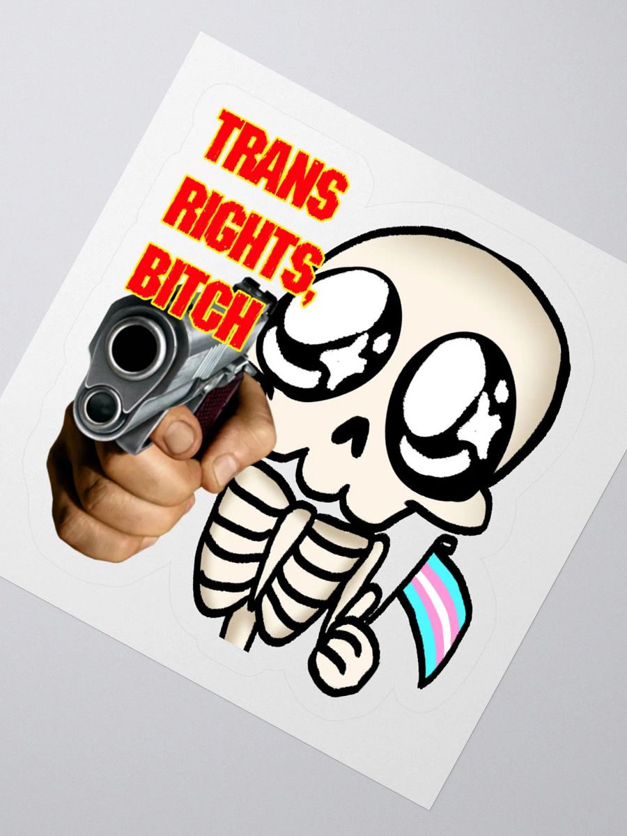 Trans Rights Sticker product image (4)