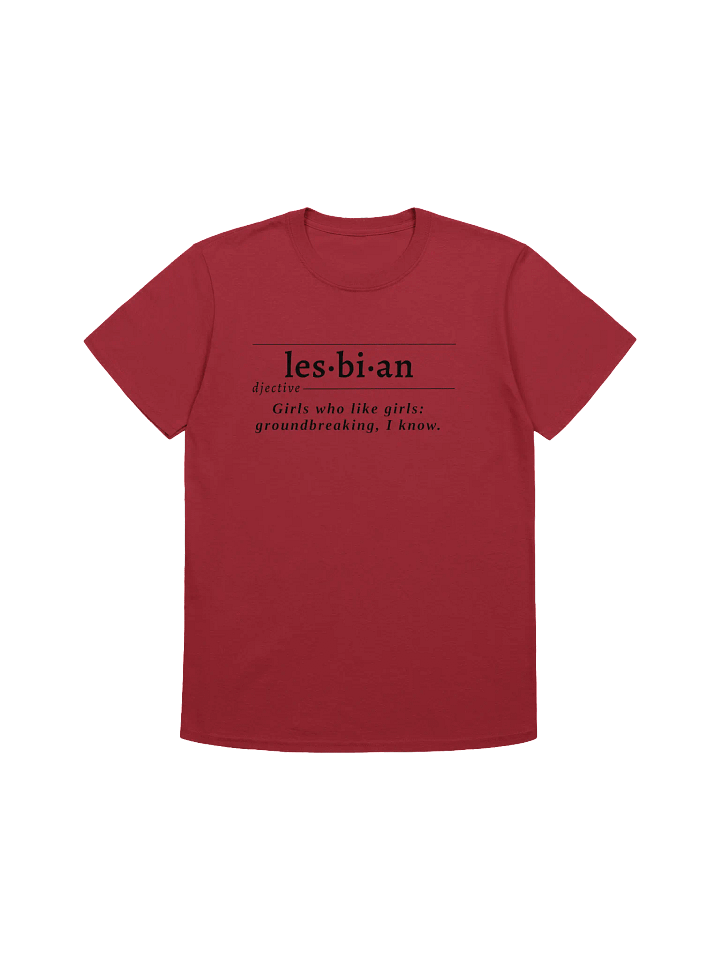 Lesbian Def Unisex Tee v2 product image (1)