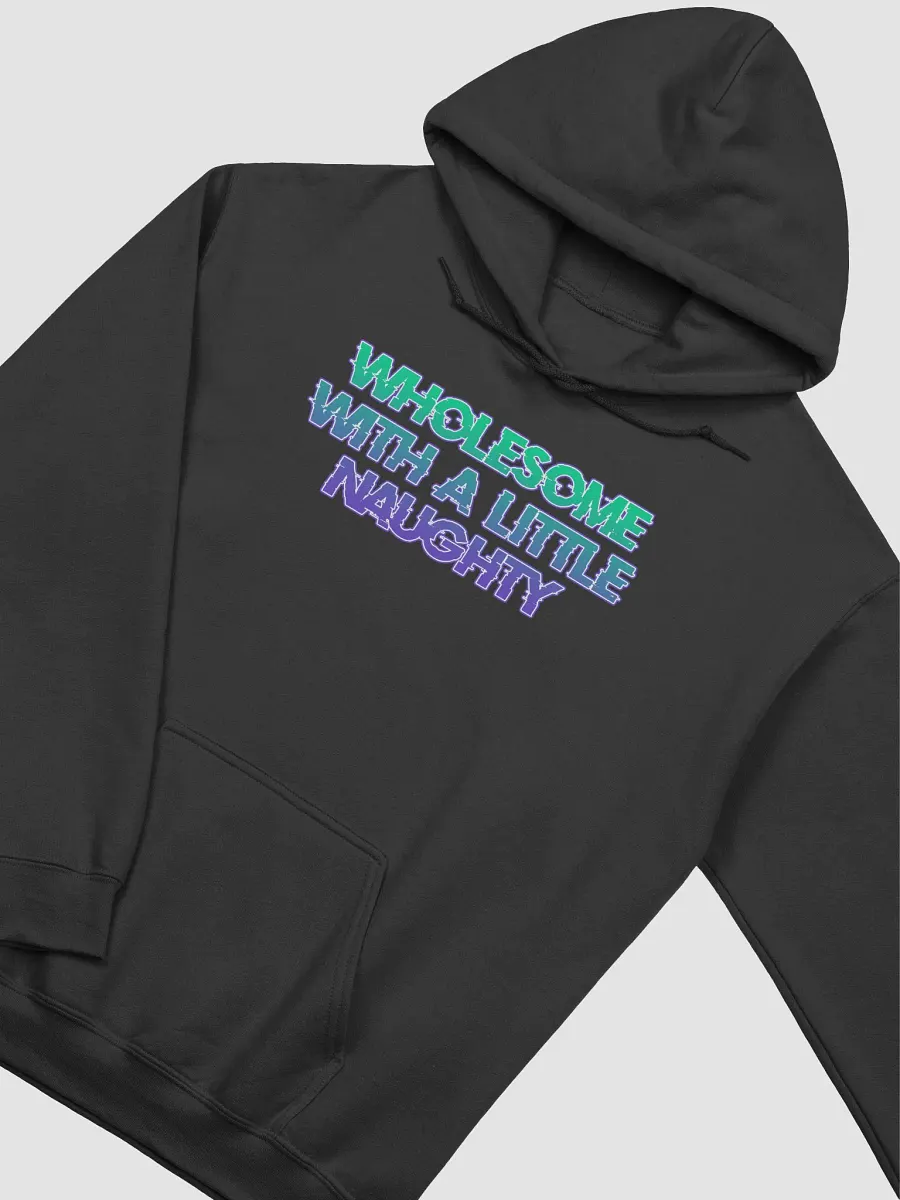 Wholesome and Naughty Hoodie product image (3)